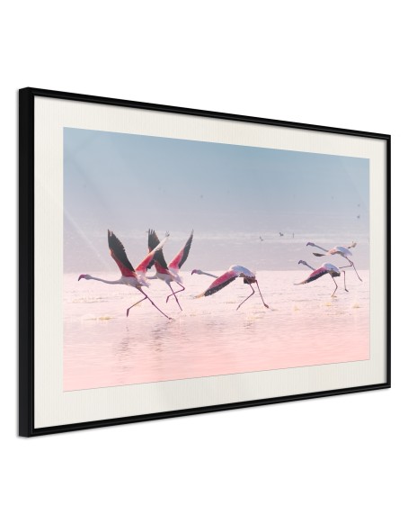 Плакат - Flamingos Breaking into a Flight