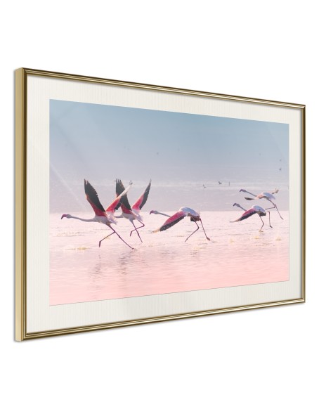 Плакат - Flamingos Breaking into a Flight