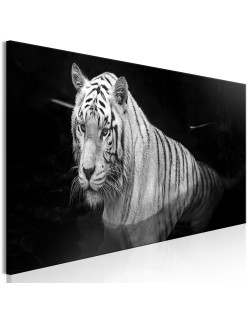 Картина - Shining Tiger (1 Part) Black and White Narrow