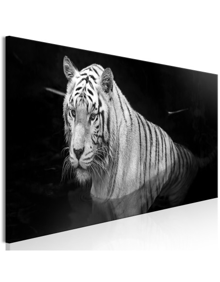 Картина - Shining Tiger (1 Part) Black and White Narrow