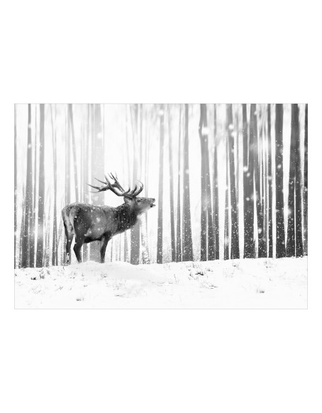 Фототапет - Deer in the Snow (Black and White)