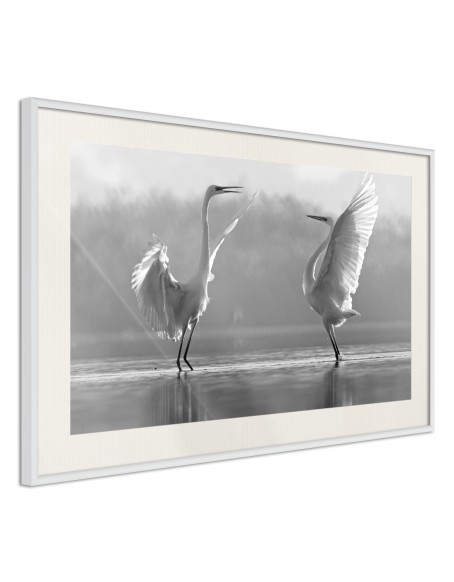 Плакат - Black and White Herons