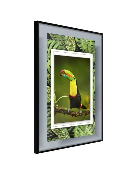 Плакат - Toucan in the Frame