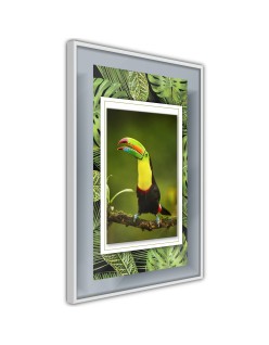 Плакат - Toucan in the Frame