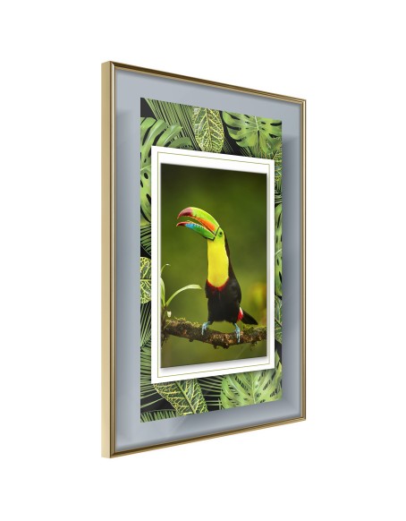 Плакат - Toucan in the Frame