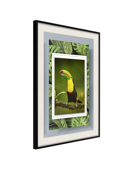 Плакат - Toucan in the Frame