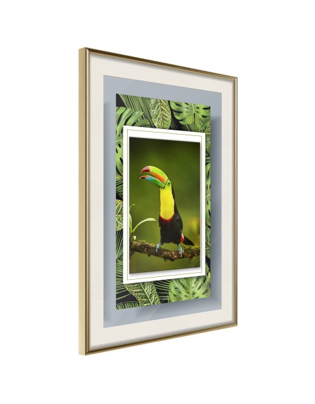 Плакат - Toucan in the Frame