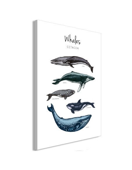 Картина - Whales (1 Part) Vertical