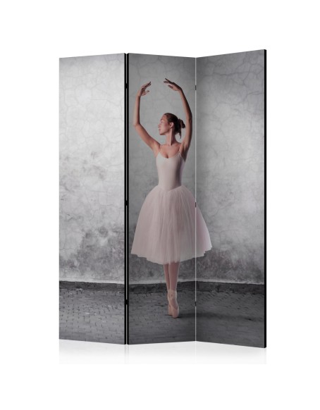 Параван - Ballerina in Degas paintings style [Room Dividers]