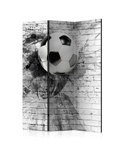 Параван - Dynamic Football [Room Dividers]