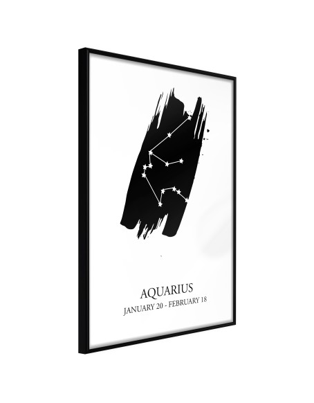 Плакат - Zodiac: Aquarius I