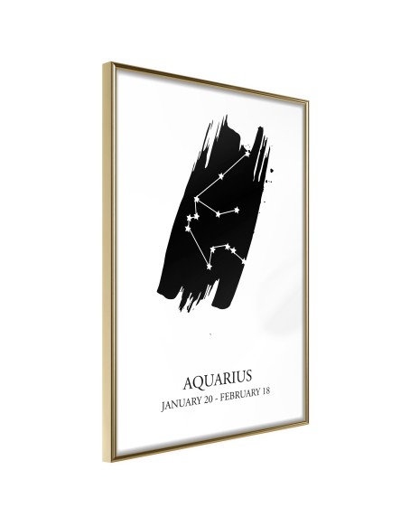 Плакат - Zodiac: Aquarius I