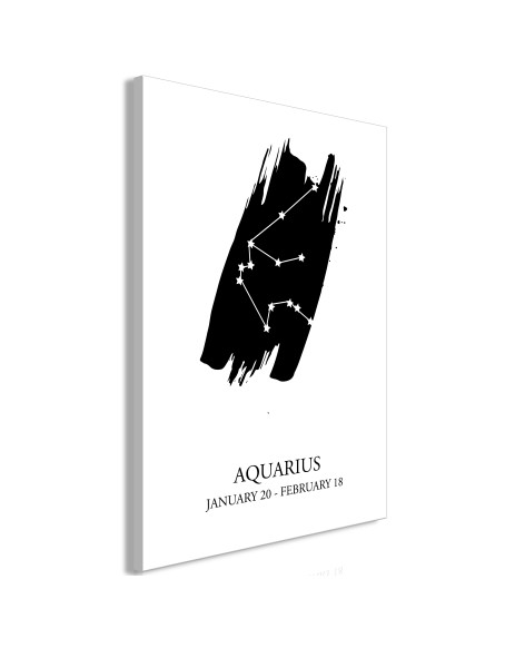 Картина - Zodiac Signs: Aquarius (1 Part) Vertical